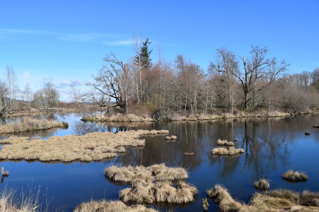 Billy, Birds &&nbsp;Beesley’s