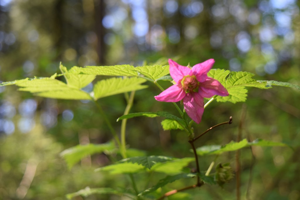 A Love Sleeps&nbsp;Deep