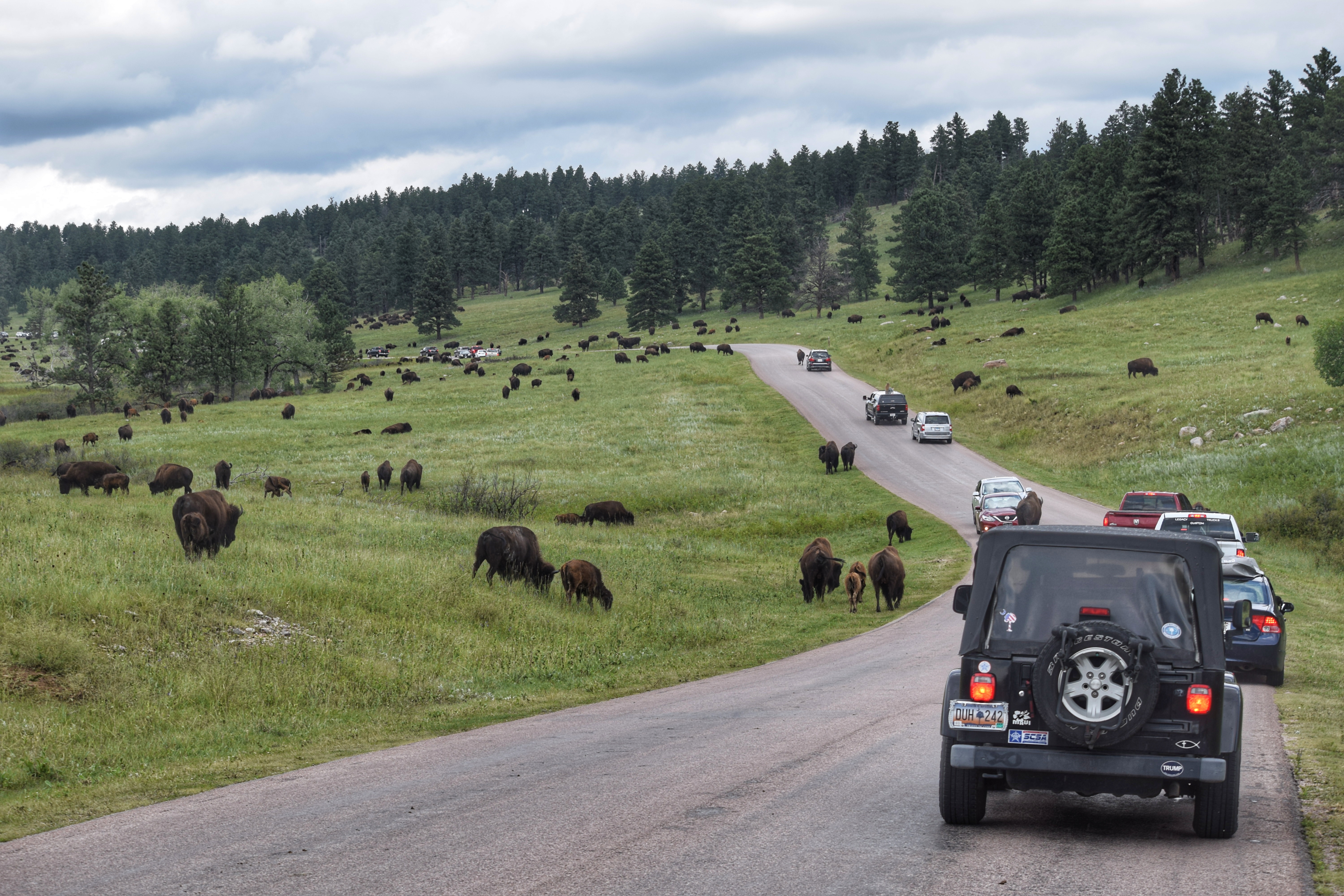 2018-07-29 10.03.45-01.jpeg