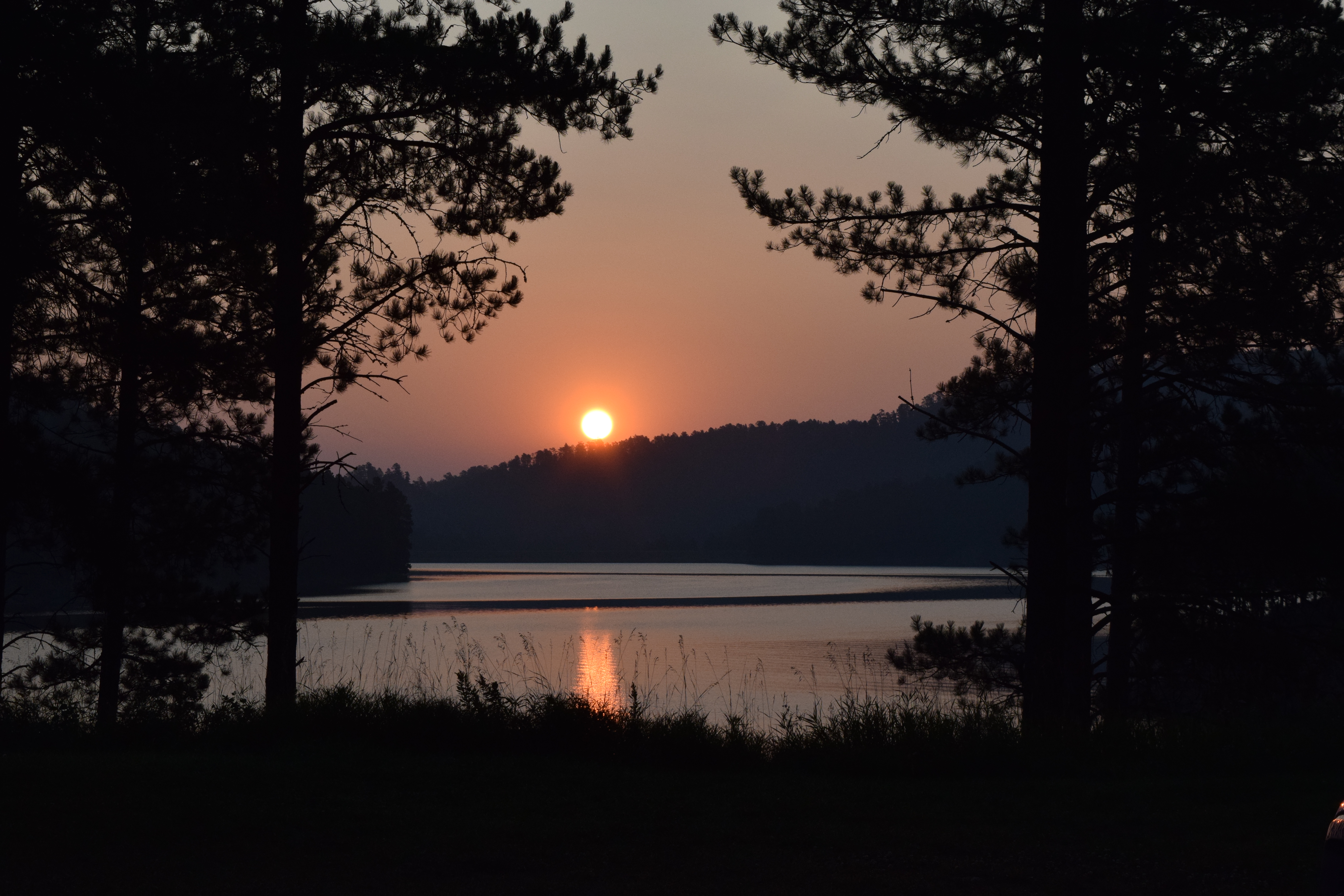 2018-08-25 04.31.11.jpg