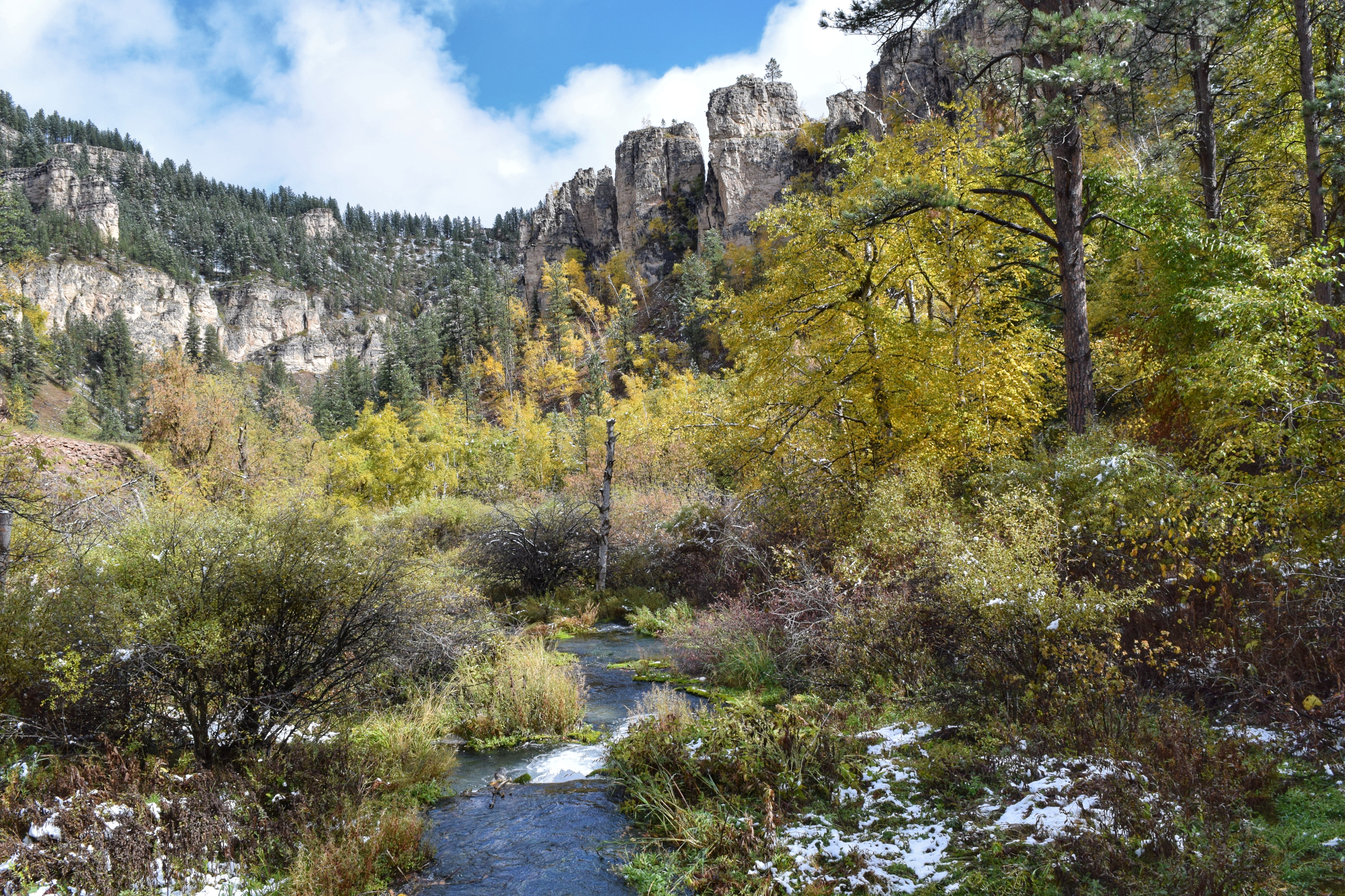 2018-09-28 10.02.57-01.jpeg