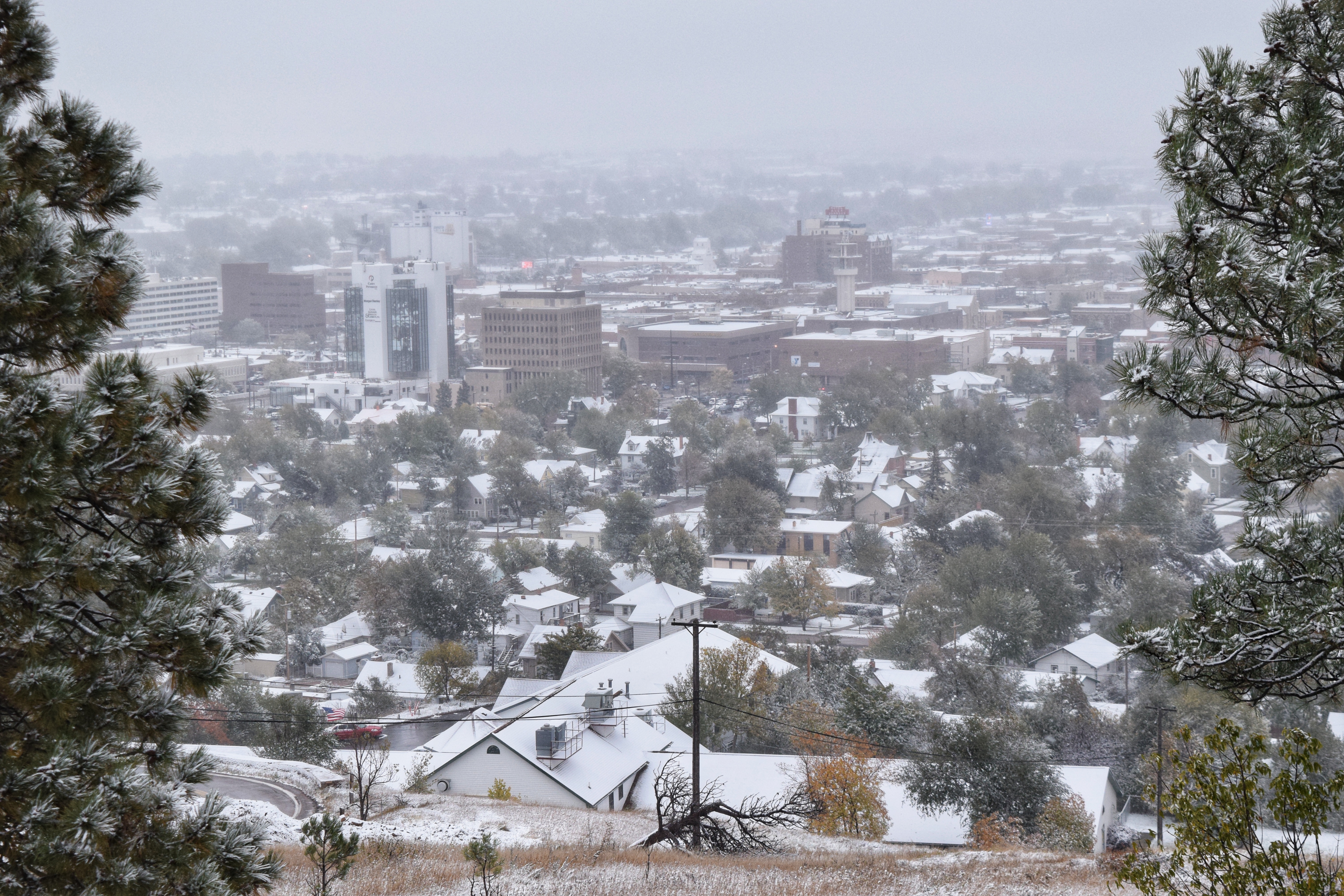 2018-10-10 06.52.23-01.jpeg