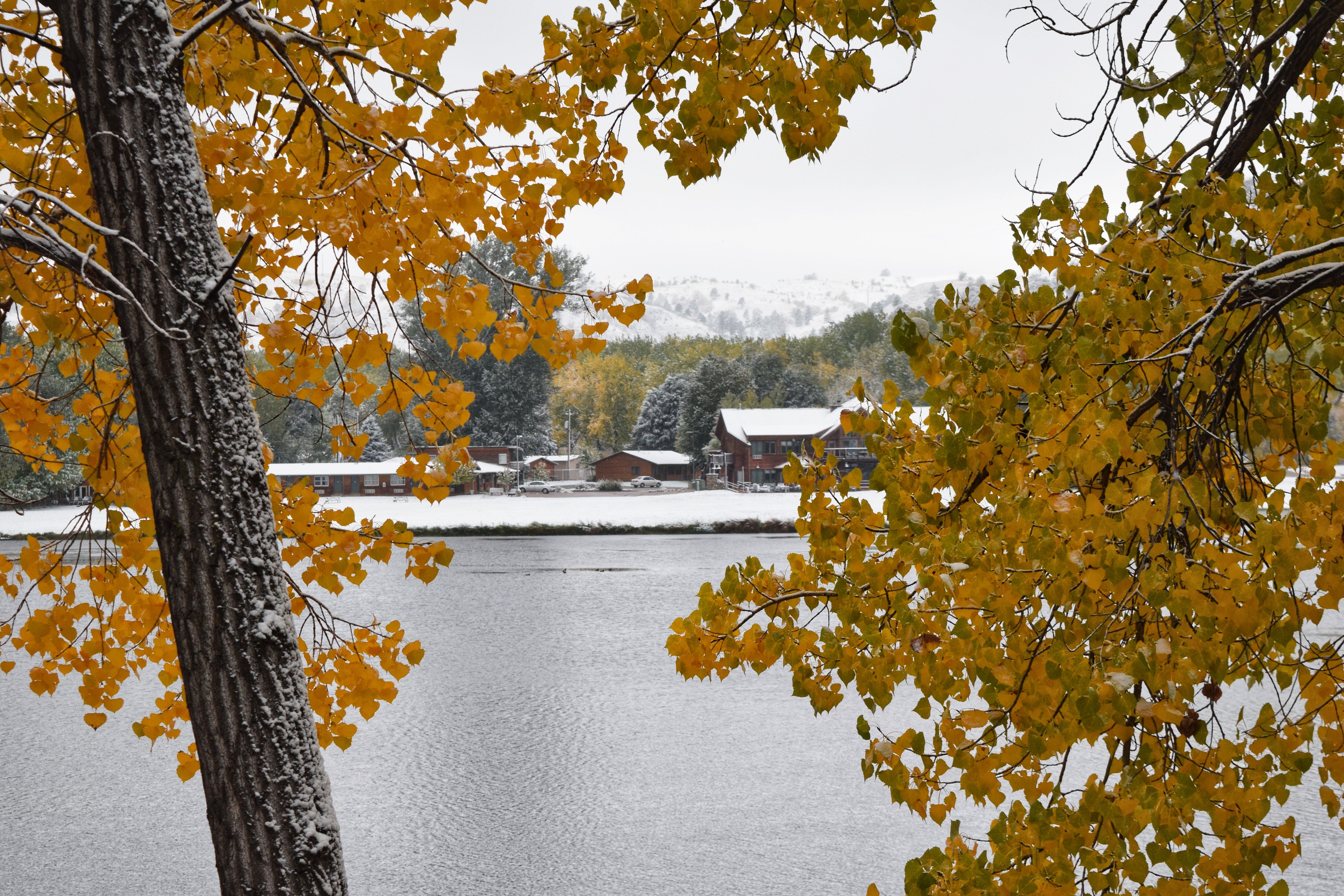 2018-10-10 08.18.41-01.jpeg