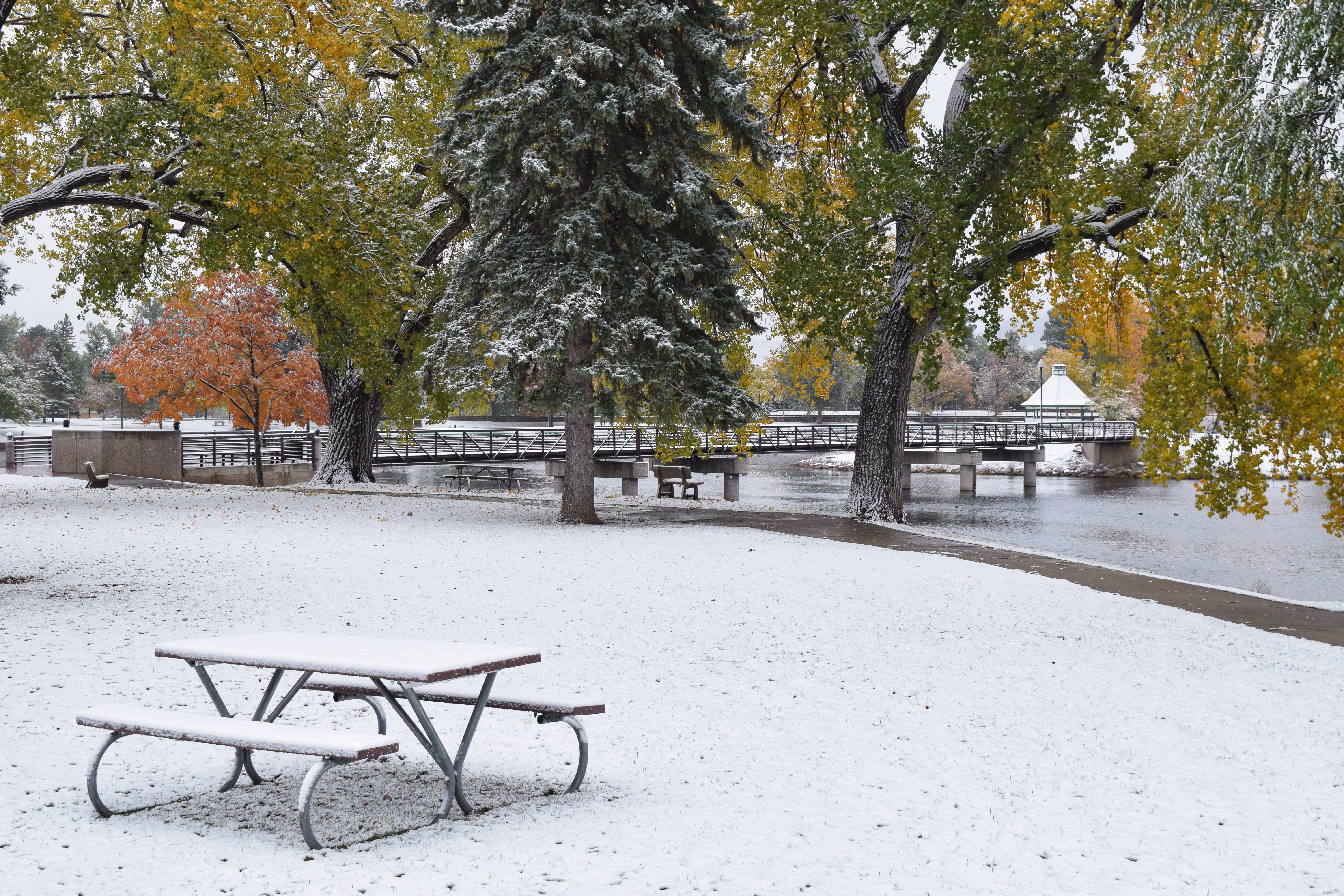 2018-10-10 08.50.25-01.jpeg