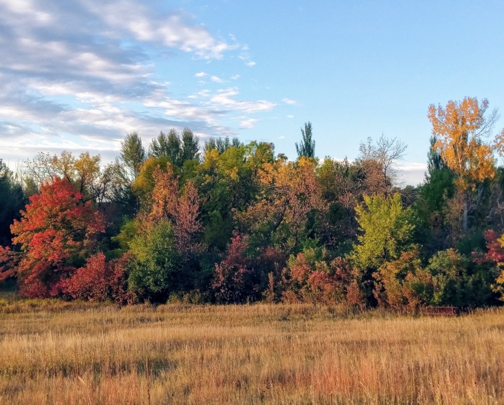 Do Rattlesnakes Hibernate?