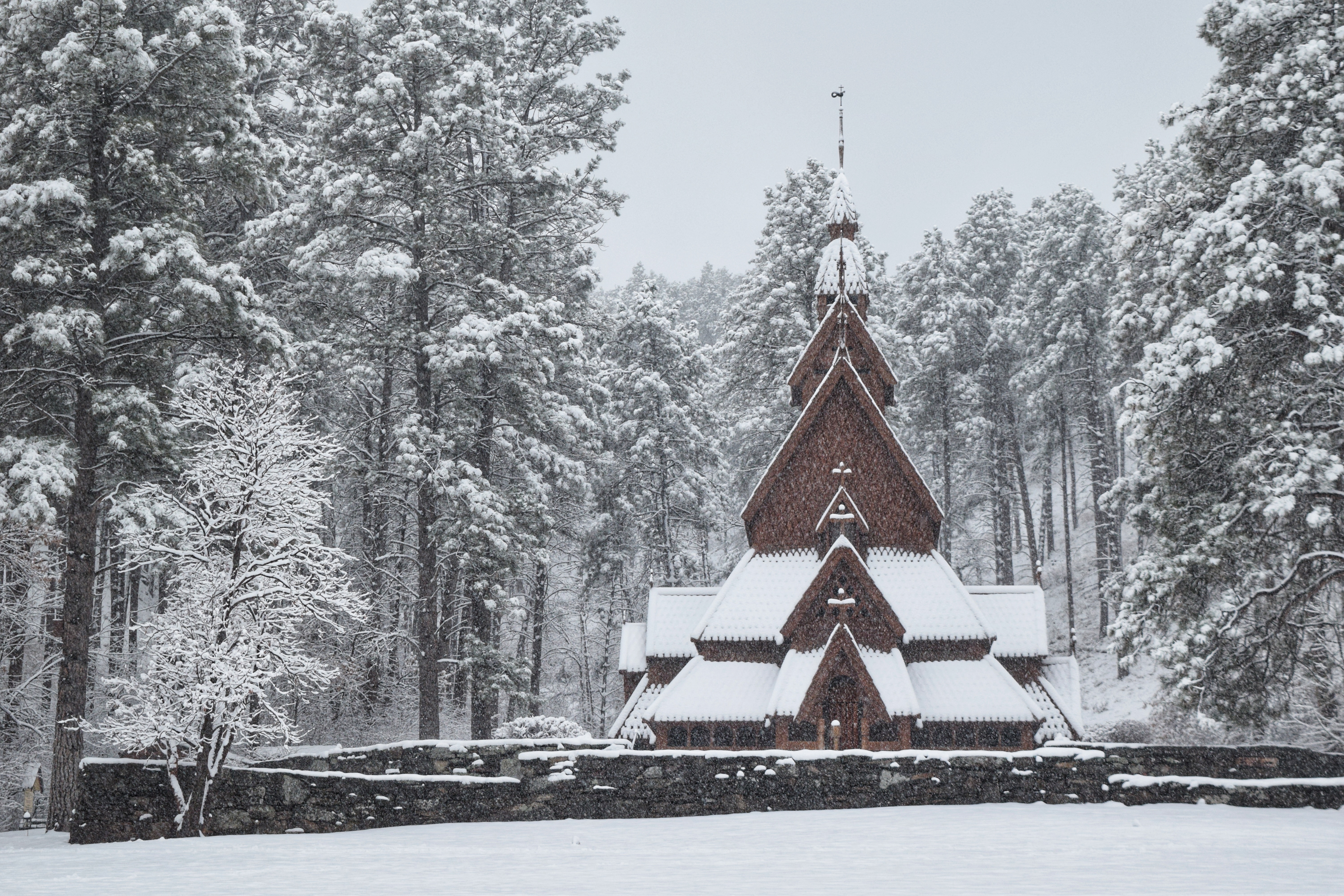 2018-12-01 14.47.34-01.jpeg