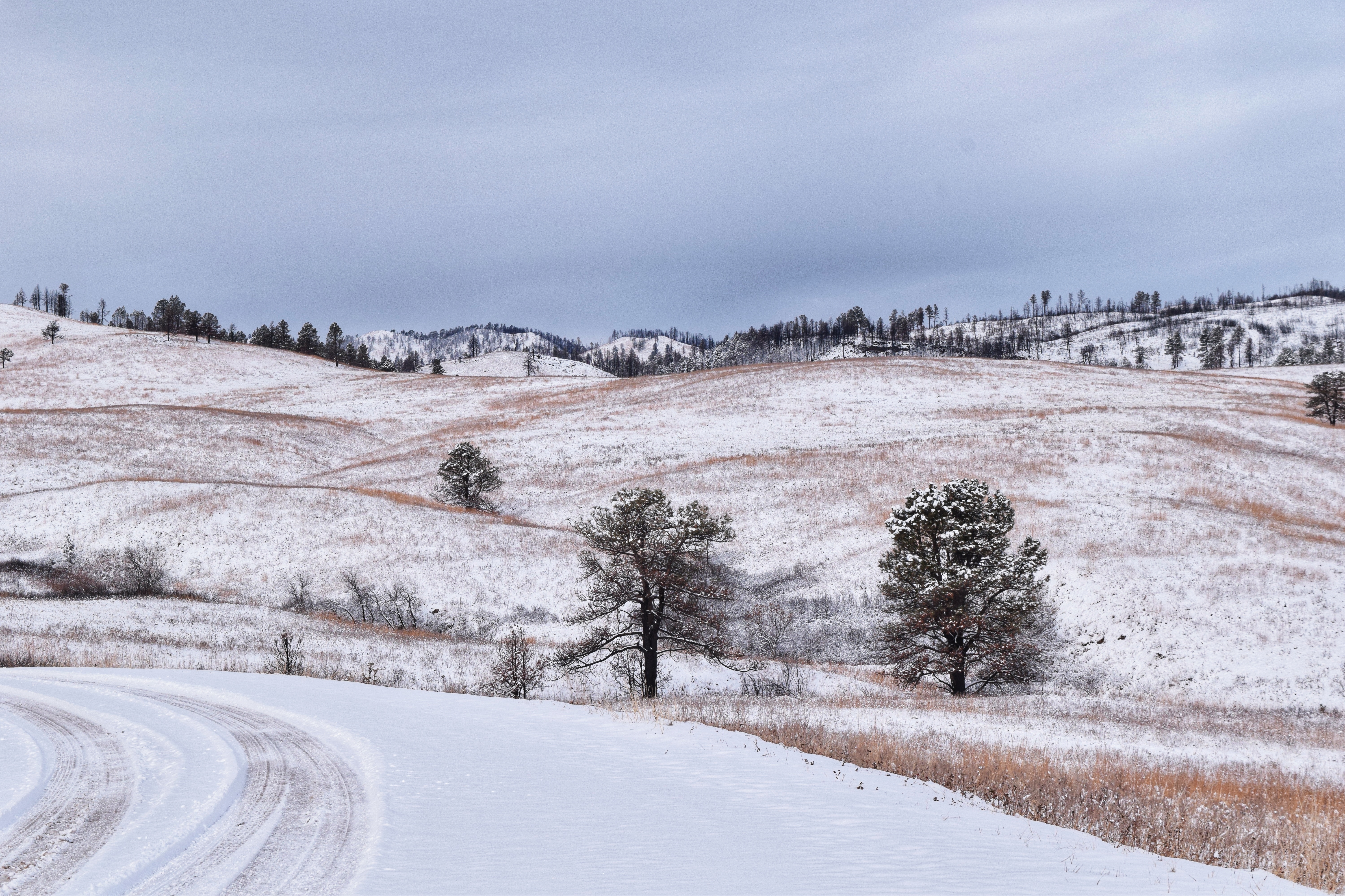 2018-12-02 10.03.43-01.jpeg