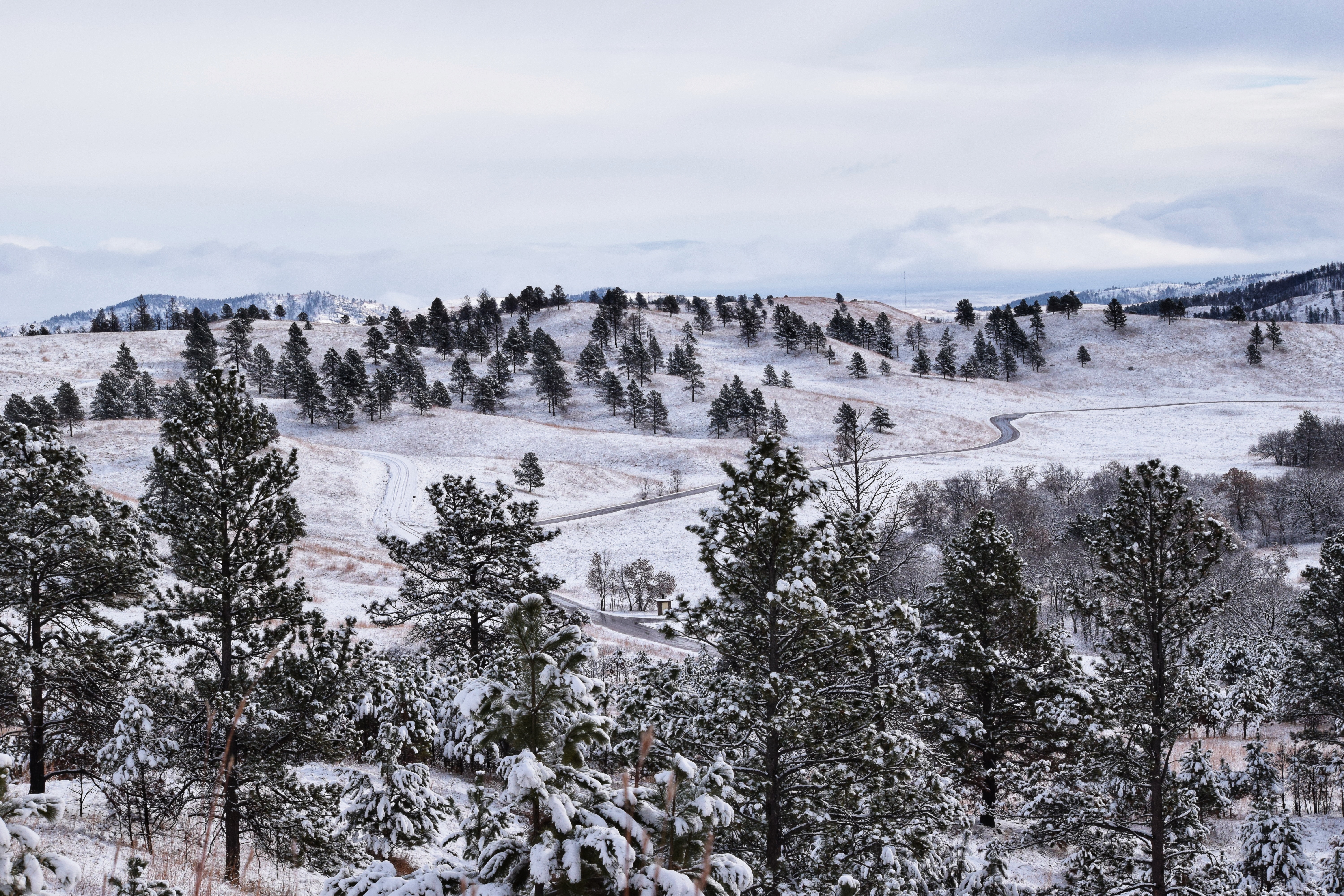 2018-12-02 10.43.35-01.jpeg