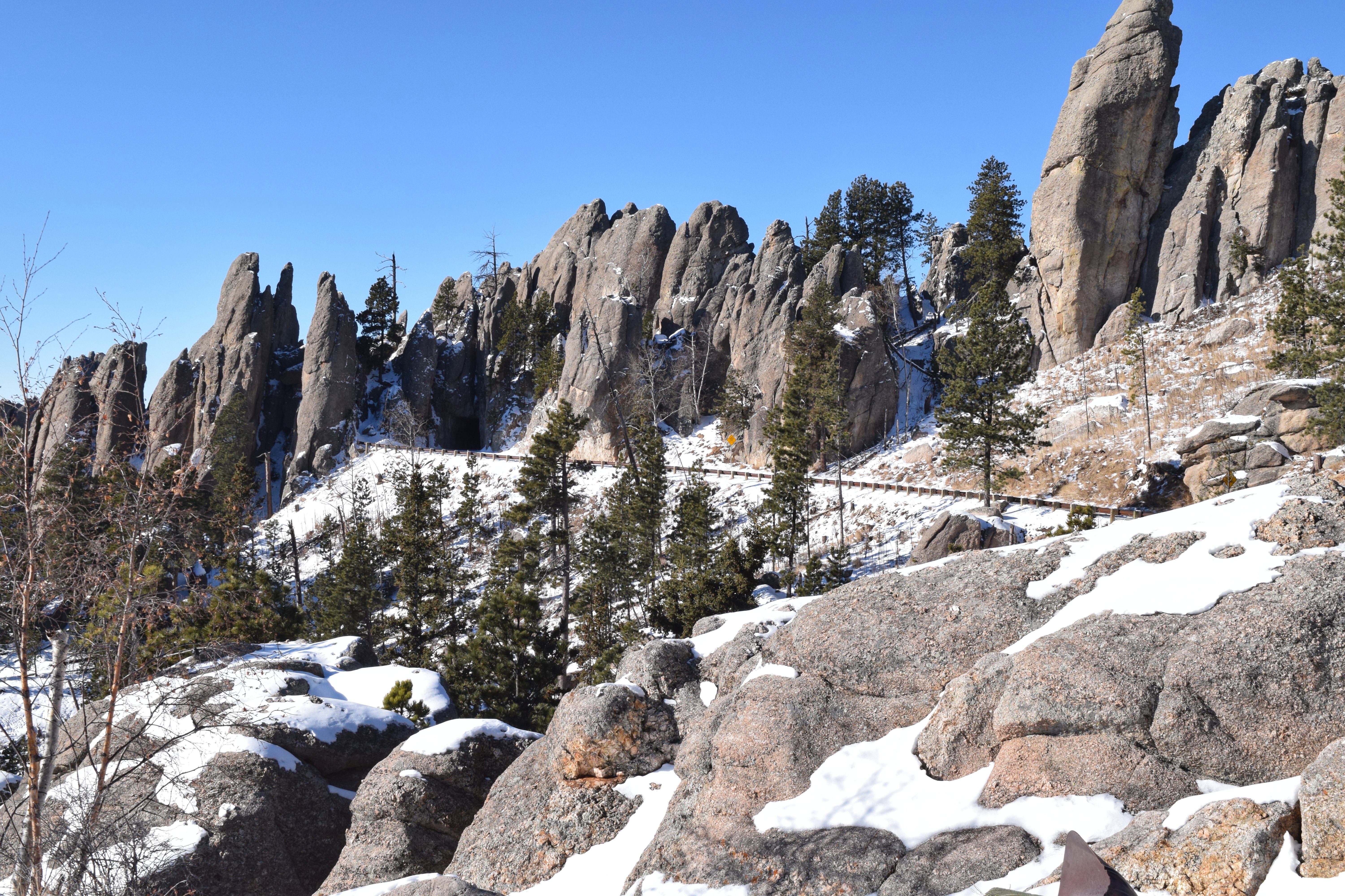 2018-12-07 10.03.12-01.jpeg