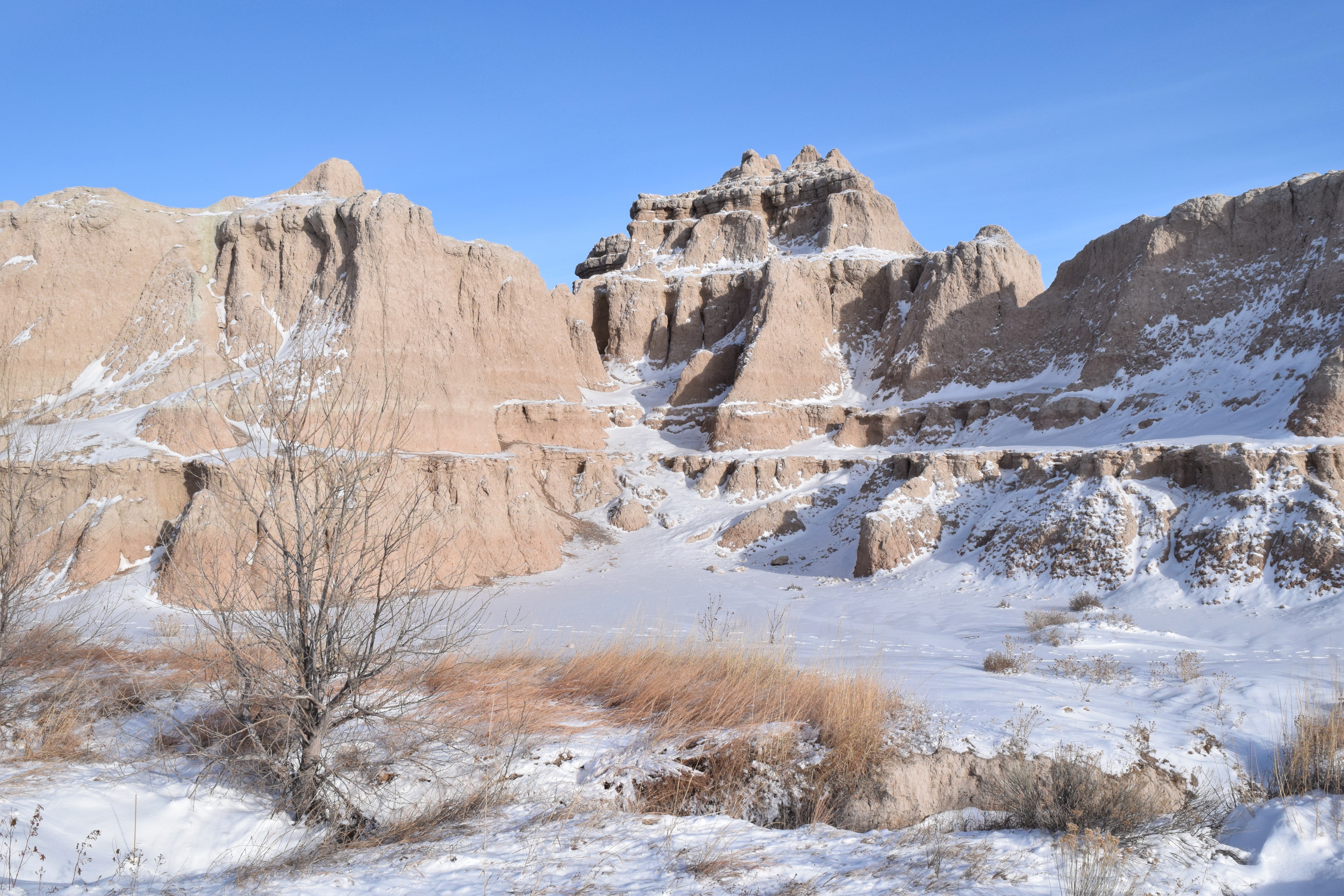 2018-12-29 13.22.01-01.jpeg