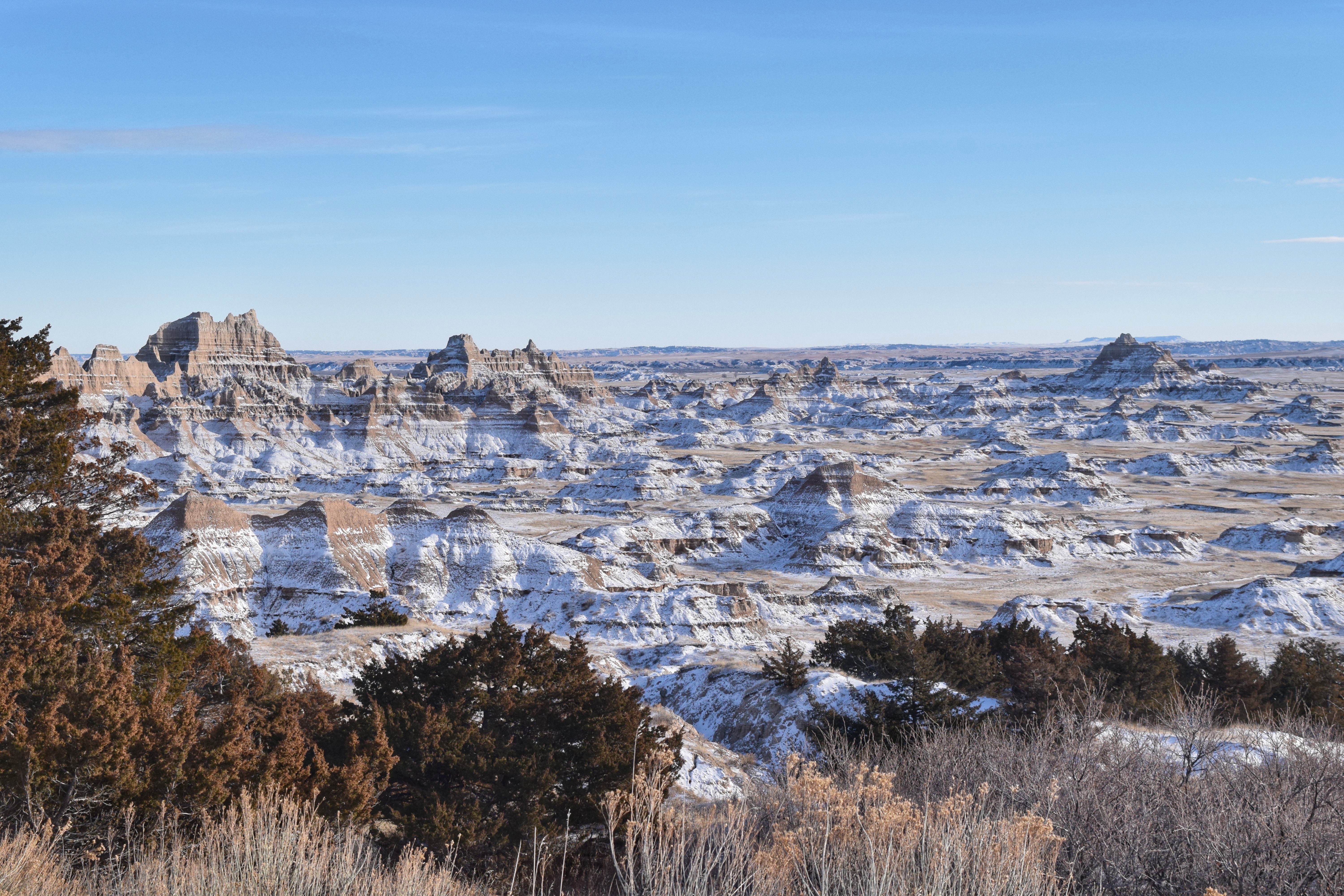 2018-12-29 13.37.39-01.jpeg