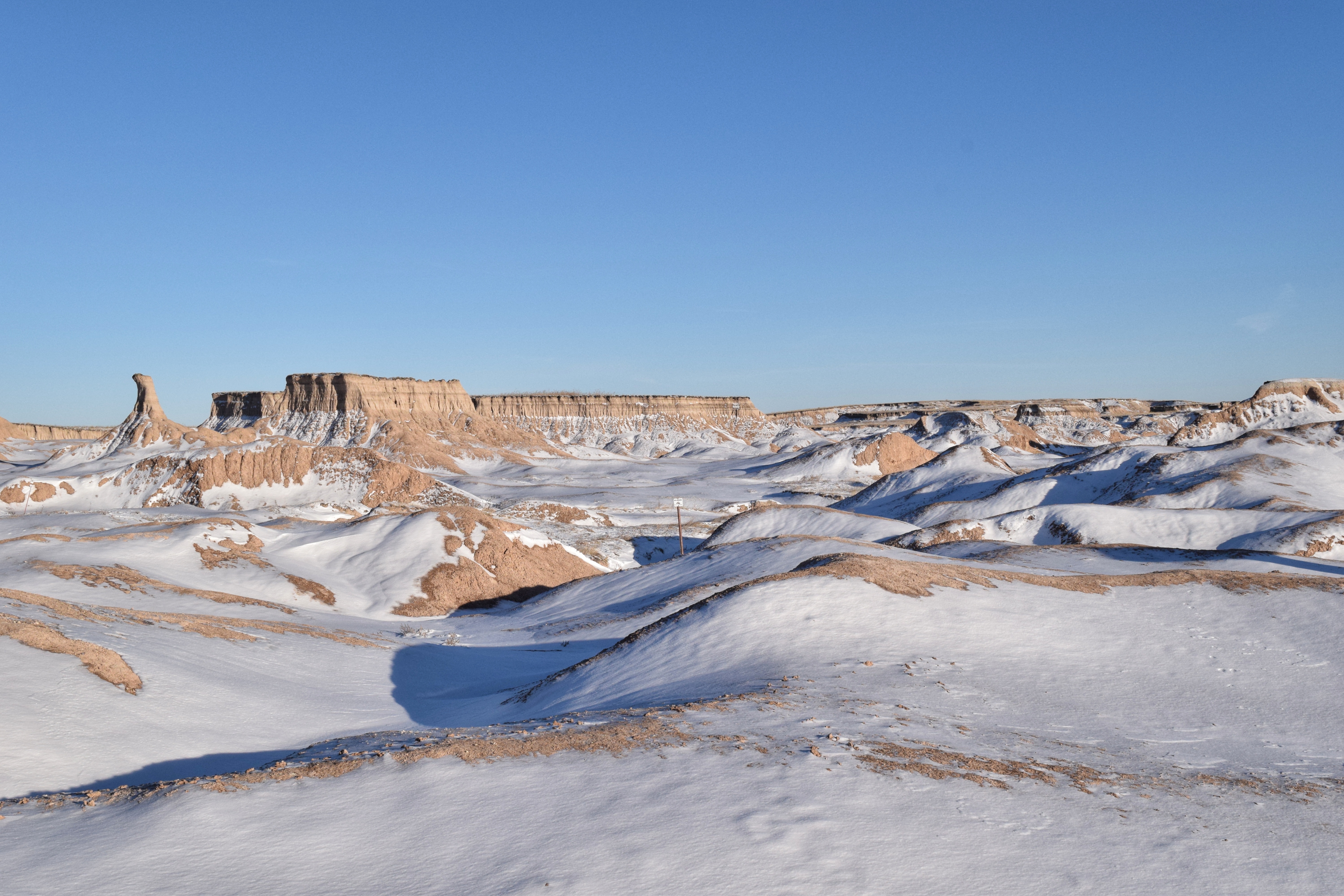 2018-12-29 14-1.04.48-01.jpeg