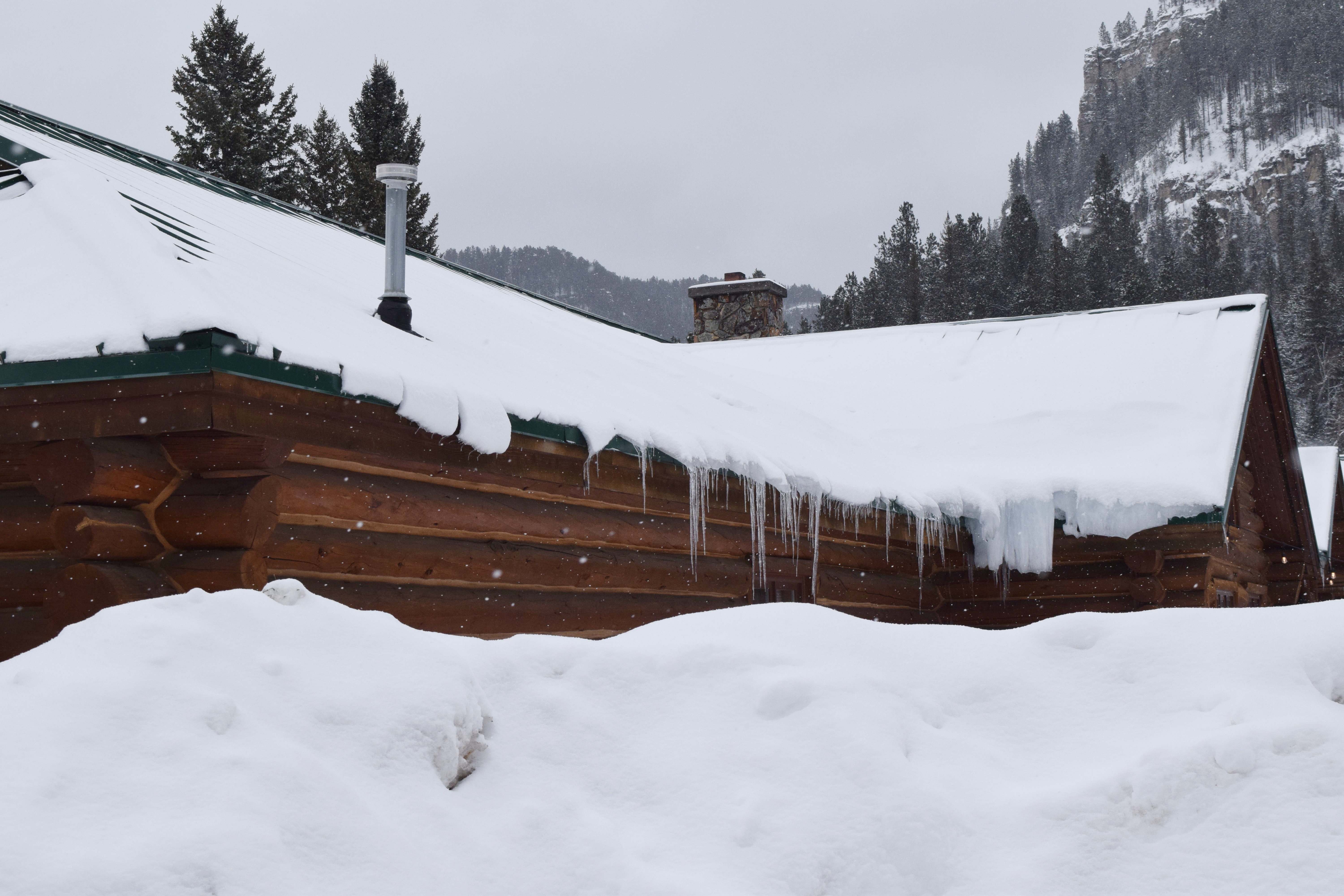 DSC_0015 (2)-01.jpeg