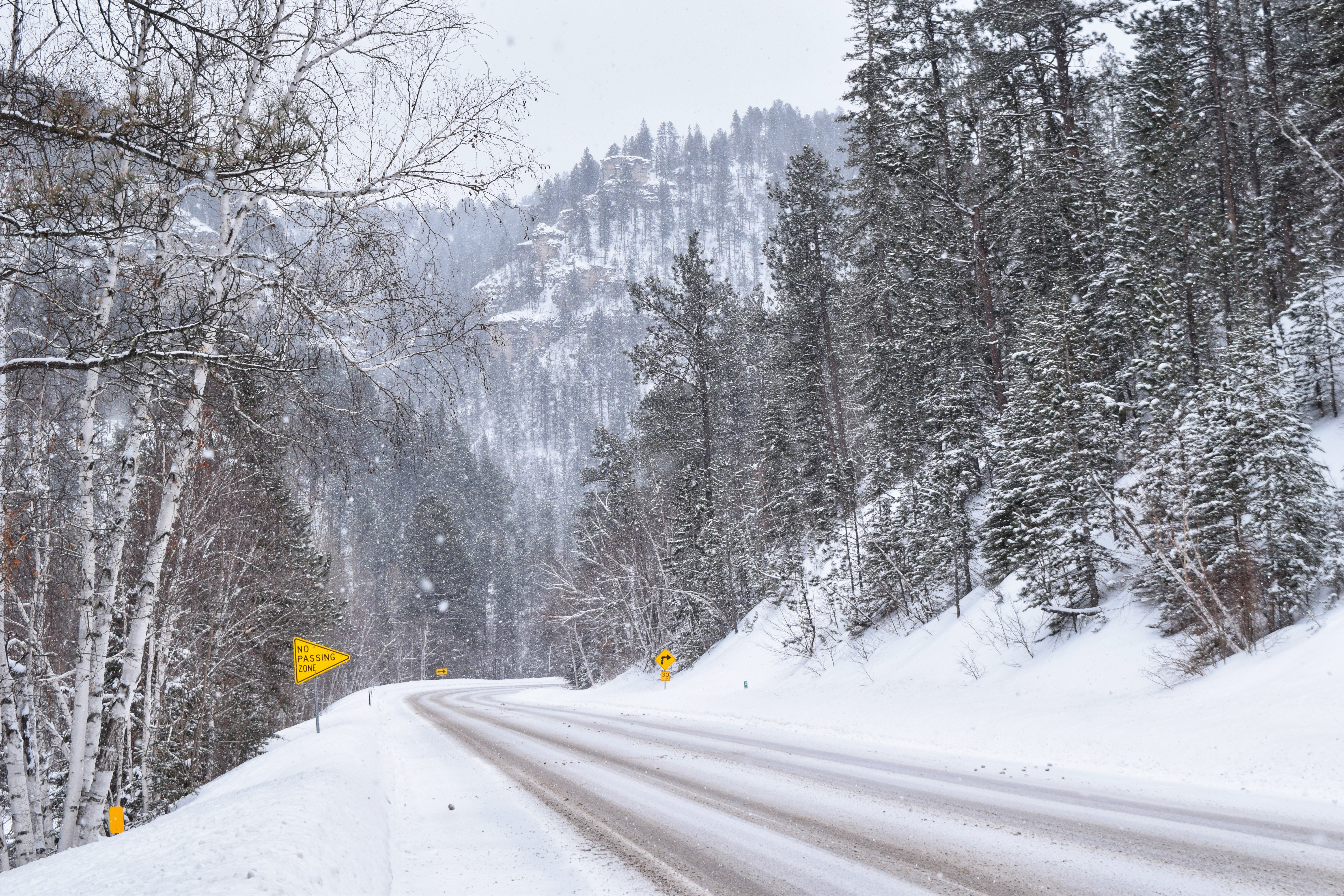 DSC_0041 (2)-01.jpeg