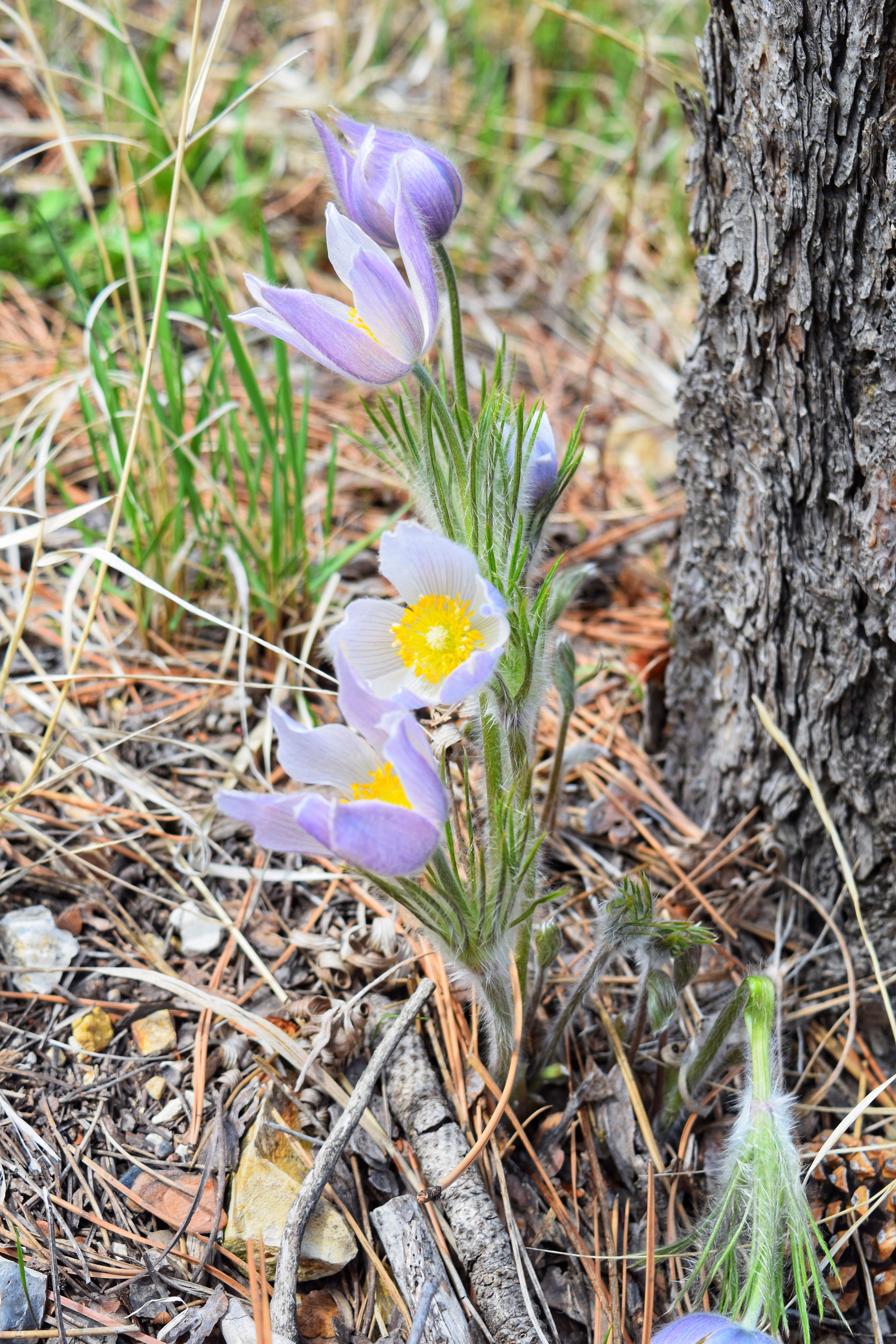 DSC_0093 (2)-01.jpeg