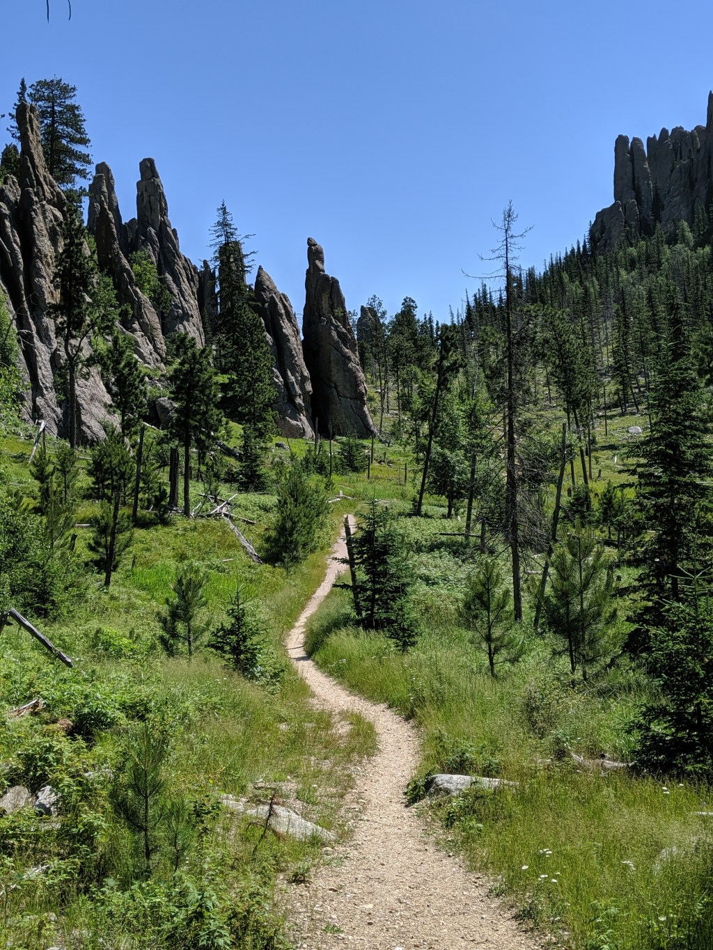 I Am Not a&nbsp;Crook