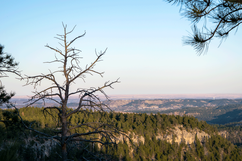 Variety is the Spice of&nbsp;Life