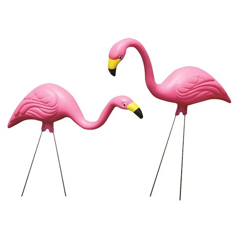 flamingos