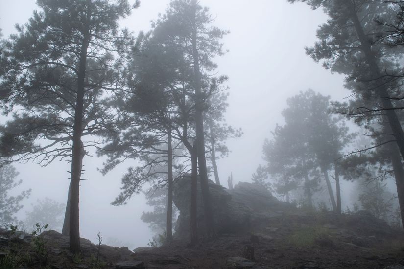 “See You Monday!”