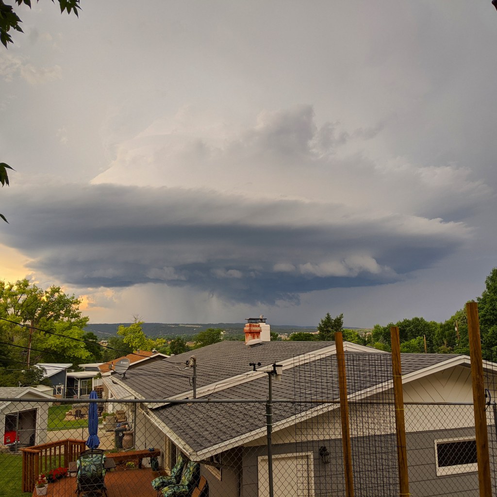 Bachelor Chronicles: Day&nbsp;1