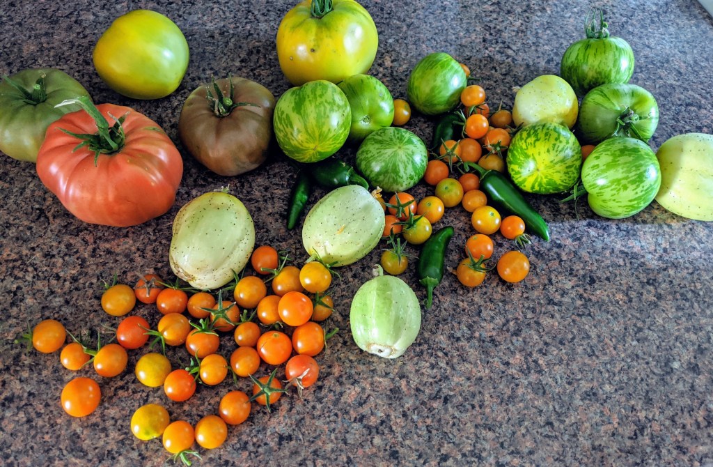 Seasons Change in the Blink of an&nbsp;Eye