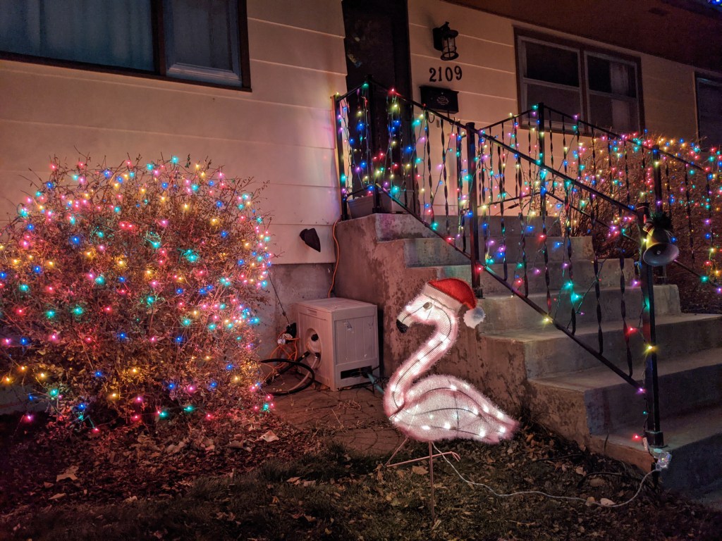 Flamingo-ho-ho!