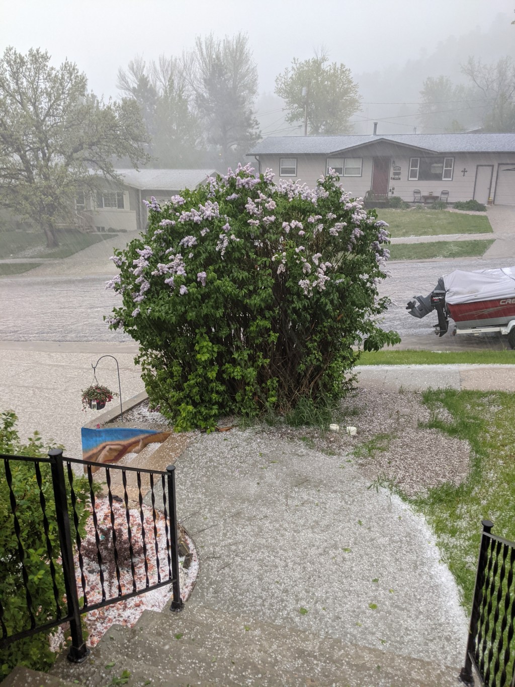 If You Don’t Hear From Me, Check in with the Tin Man or&nbsp;Scarecrow