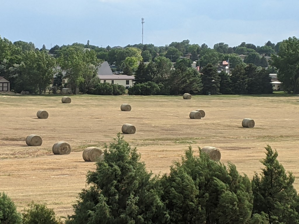 Winner, Winner, Mexican&nbsp;Dinner