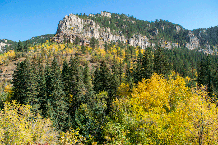 Mammoth Bones & Leaves of&nbsp;Gold