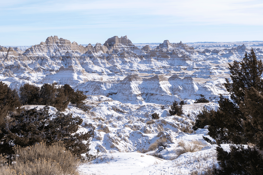 Powdered Sugar Landscape