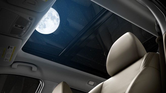 So, that's how it got its name...