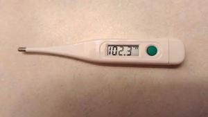 My actual temperature at one point.