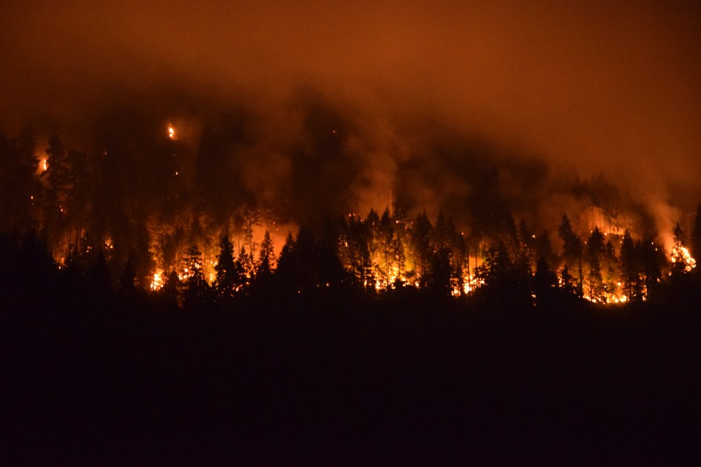 Where There’s Smoke, There’s&nbsp;Idiots