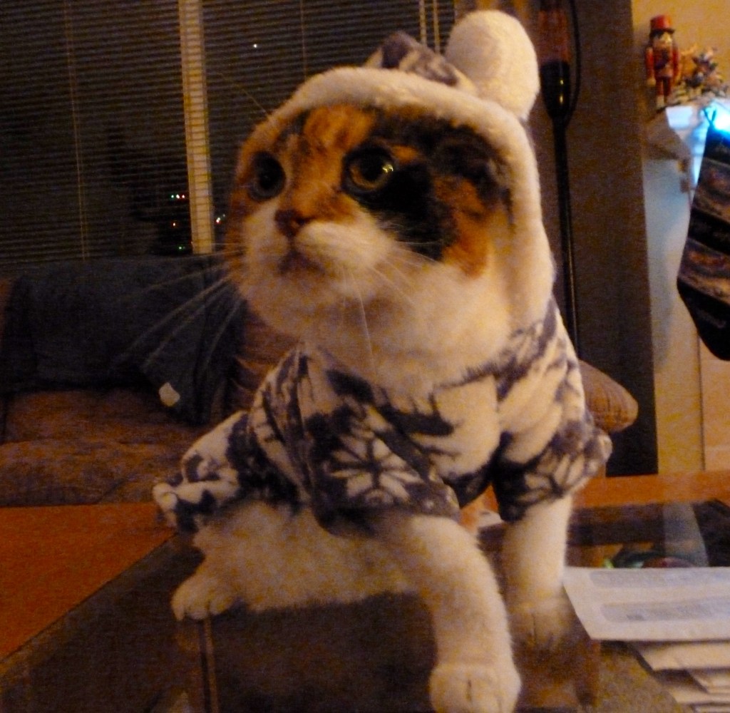 Puffy Coats and Cat&nbsp;Sweaters