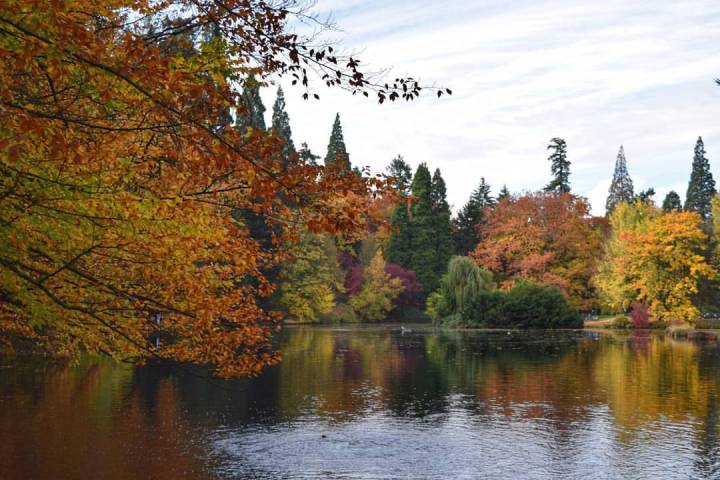 15025373_10210899417630397_5023611413326110843_o