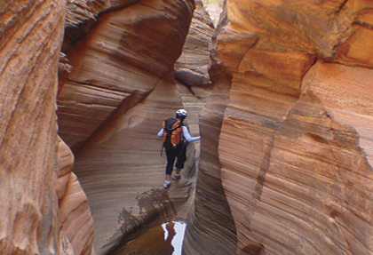 If You Fall Off Your Bicycle – Stay&nbsp;Off!