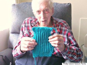 s-OLDEST-MAN-KNITS-PENGUIN-SWEATER-480x360