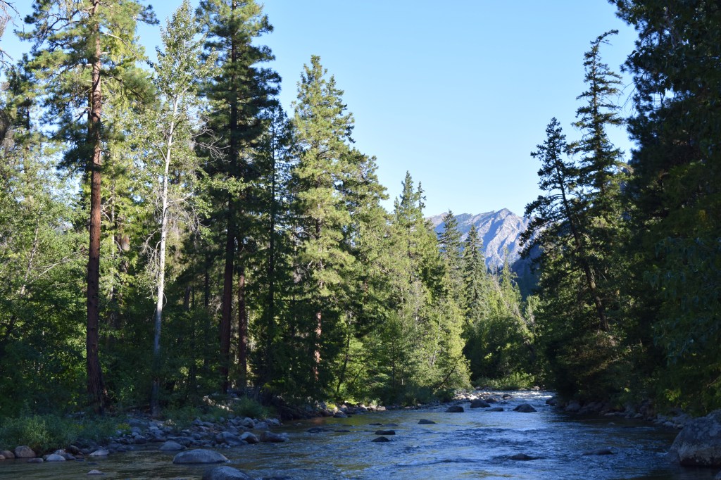 Tube Close for&nbsp;Comfort