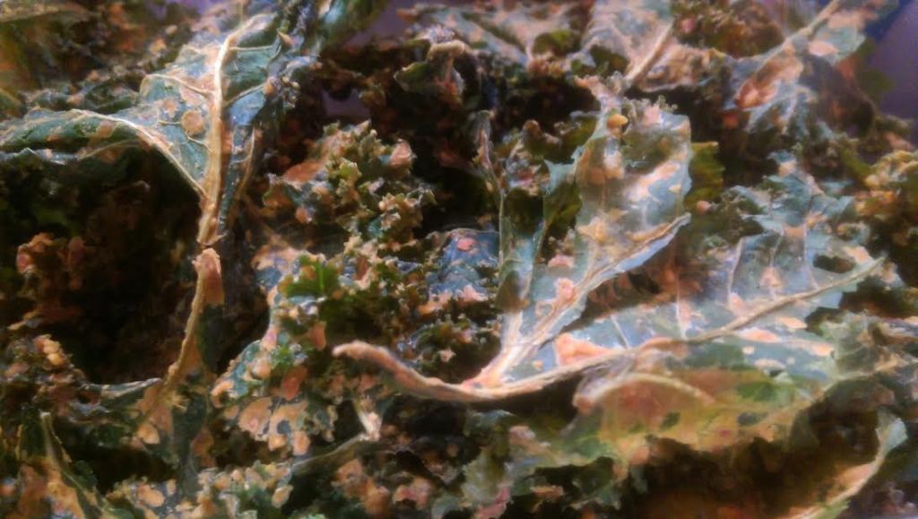 It’s Kale, I&nbsp;Swear!