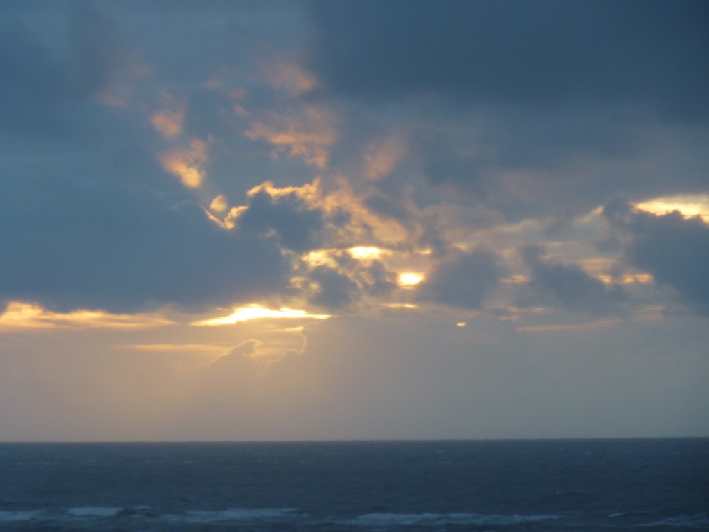 Should’ve Had The Crab&nbsp;Cakes