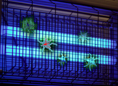 Would You Like Flies With&nbsp;That?