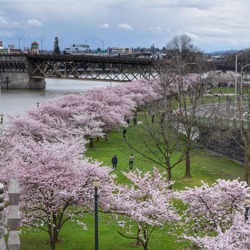 The Long and Short of&nbsp;It