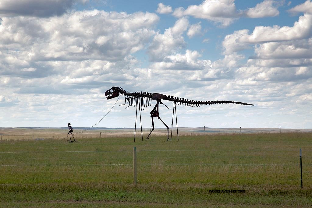 Walking the Dinosaur