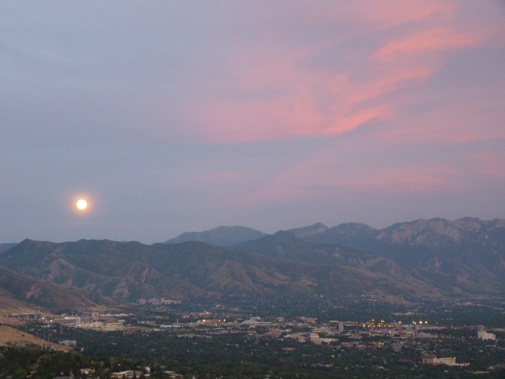 Home is Where the Hotel&nbsp;Is