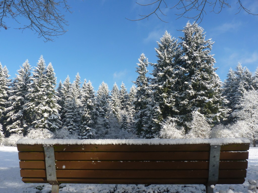 Thank You, Mother&nbsp;Nature