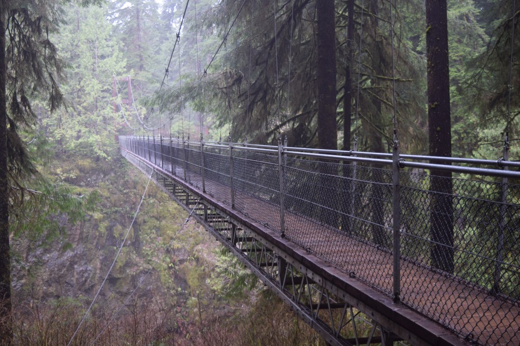 Guilty of Anthropomorphizing