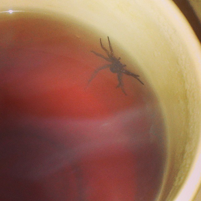 10613152_10205094413948933_3304506404339379480_n