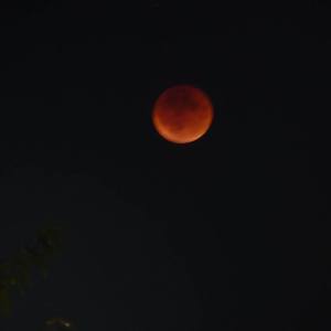 Blood Moon