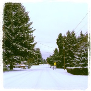 My snowy commute this morning.