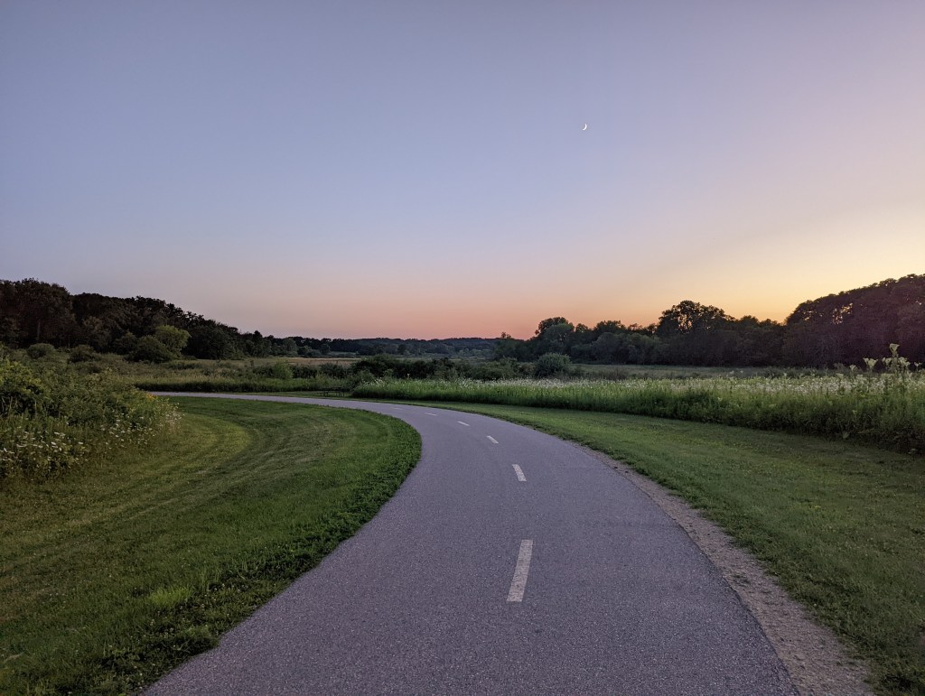 Flamingos, fireflies, and mosquitoes, oh&nbsp;my!